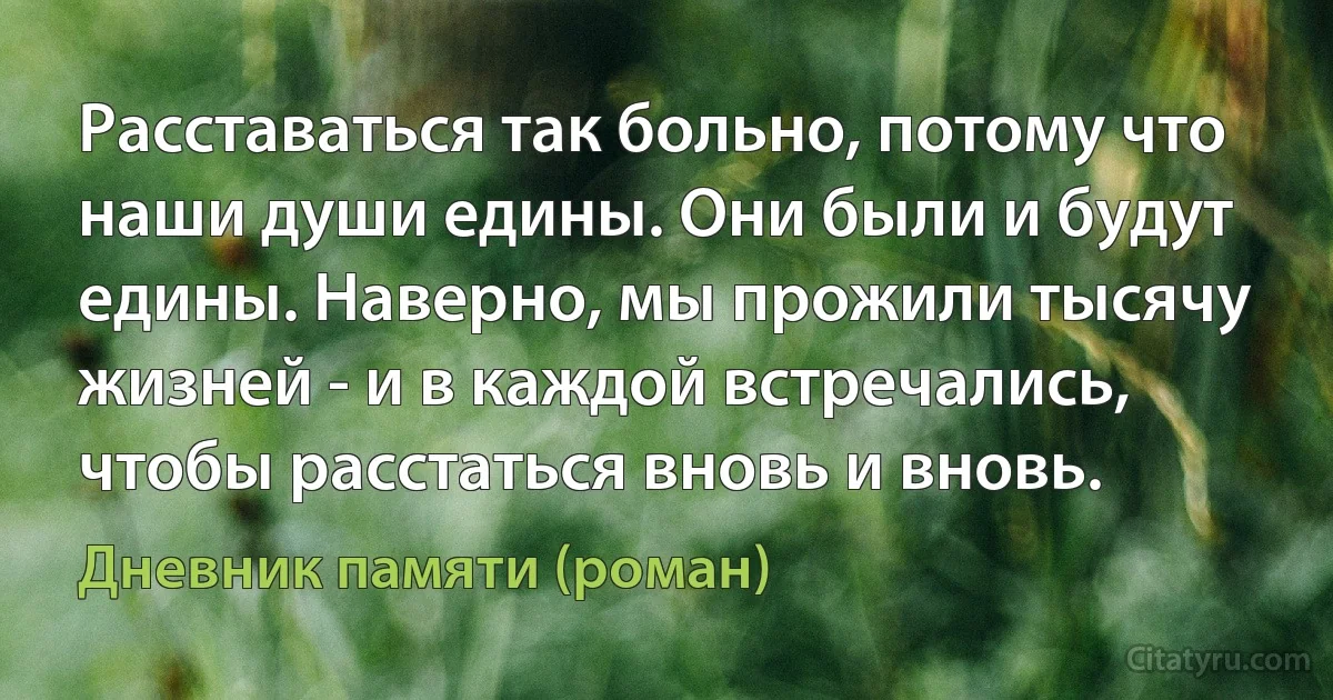 Расставаться так больно, потому что наши души едины. Они были и будут едины. Наверно, мы прожили тысячу жизней - и в каждой встречались, чтобы расстаться вновь и вновь. (Дневник памяти (роман))