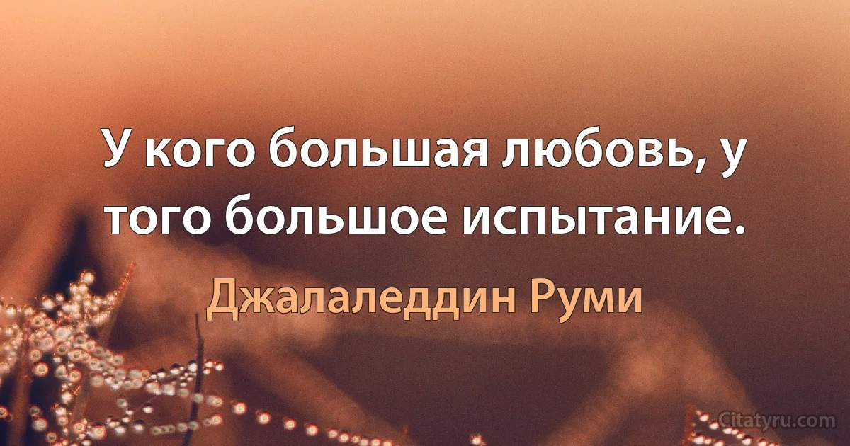 У кого большая любовь, у того большое испытание. (Джалаледдин Руми)