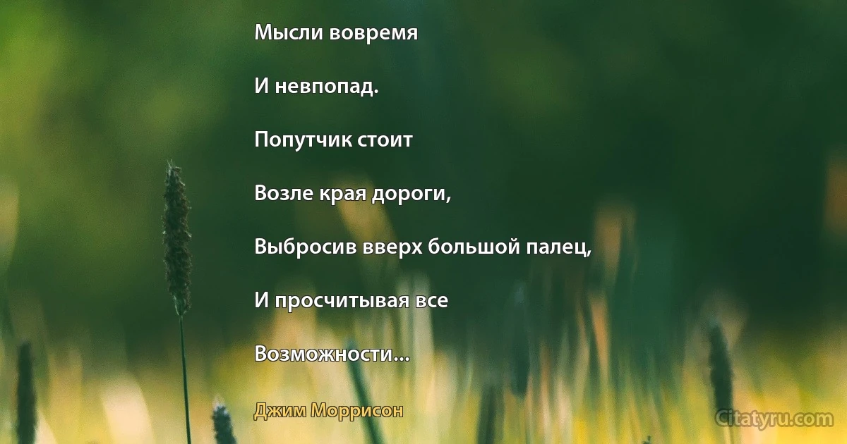 Мысли вовремя

И невпопад.

Попутчик стоит

Возле края дороги,

Выбросив вверх большой палец,

И просчитывая все

Возможности... (Джим Моррисон)