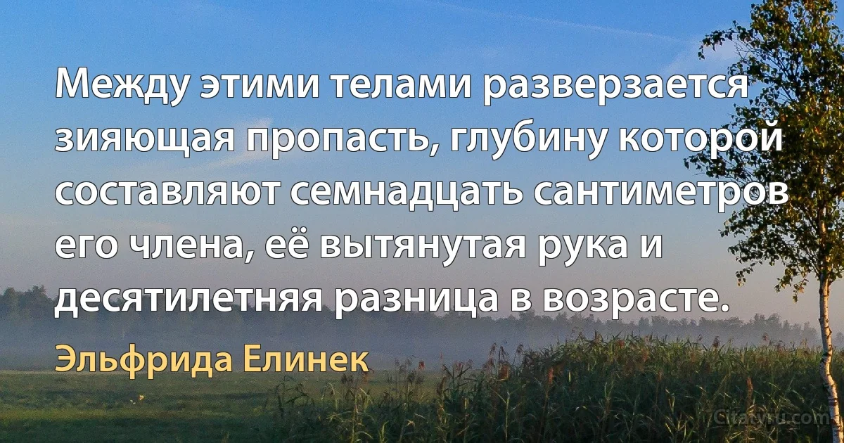 Между этими телами разверзается зияющая пропасть, глубину которой составляют семнадцать сантиметров его члена, её вытянутая рука и десятилетняя разница в возрасте. (Эльфрида Елинек)