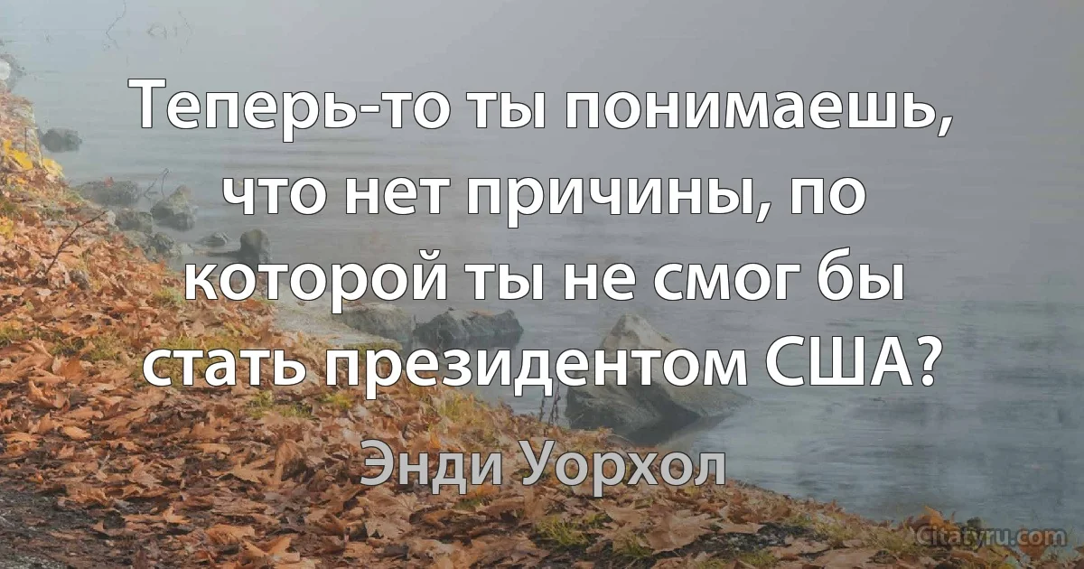 Теперь-то ты понимаешь, что нет причины, по которой ты не смог бы стать президентом США? (Энди Уорхол)