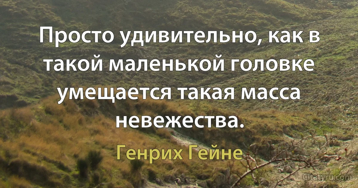 Просто удивительно, как в такой маленькой головке умещается такая масса невежества. (Генрих Гейне)