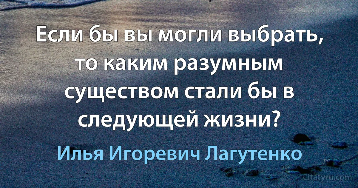 Если бы вы могли выбрать, то каким разумным существом стали бы в следующей жизни? (Илья Игоревич Лагутенко)