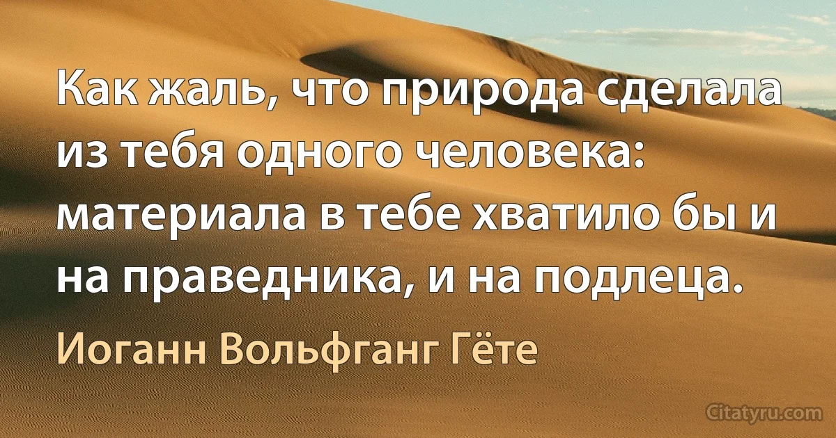 Как жаль, что природа сделала из тебя одного человека: материала в тебе хватило бы и на праведника, и на подлеца. (Иоганн Вольфганг Гёте)