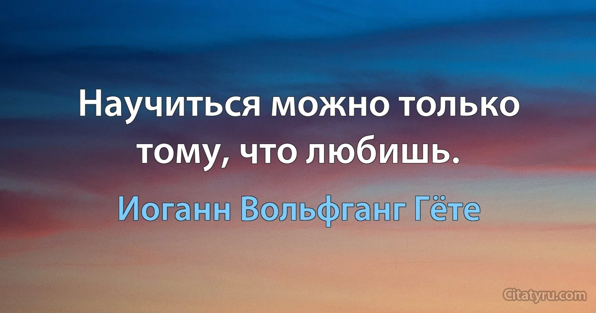 Научиться можно только тому, что любишь. (Иоганн Вольфганг Гёте)