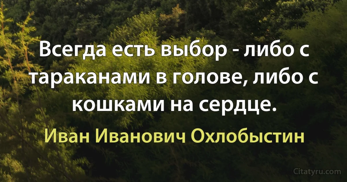 Всегда есть выбор - либо с тараканами в голове, либо с кошками на сердце. (Иван Иванович Охлобыстин)