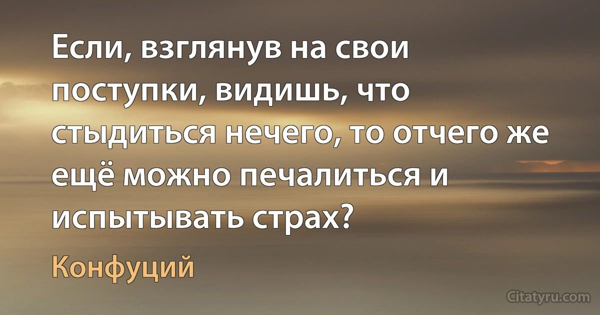 Если, взглянув на свои поступки, видишь, что стыдиться нечего, то отчего же ещё можно печалиться и испытывать страх? (Конфуций)