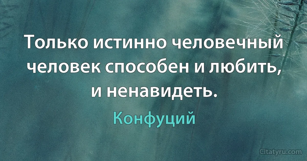 Только истинно человечный человек способен и любить, и ненавидеть. (Конфуций)