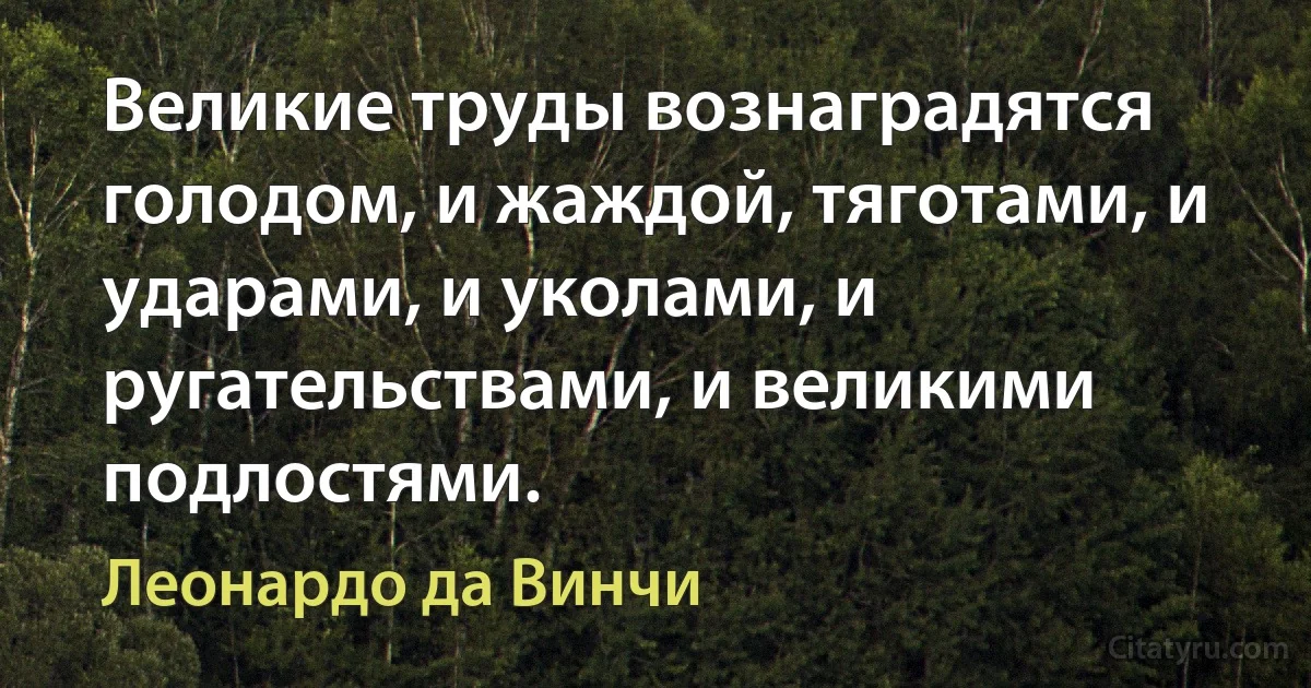 Великие труды вознаградятся голодом, и жаждой, тяготами, и ударами, и уколами, и ругательствами, и великими подлостями. (Леонардо да Винчи)