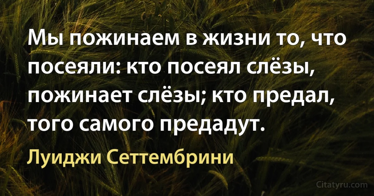 Мы пожинаем в жизни то, что посеяли: кто посеял слёзы, пожинает слёзы; кто предал, того самого предадут. (Луиджи Сеттембрини)