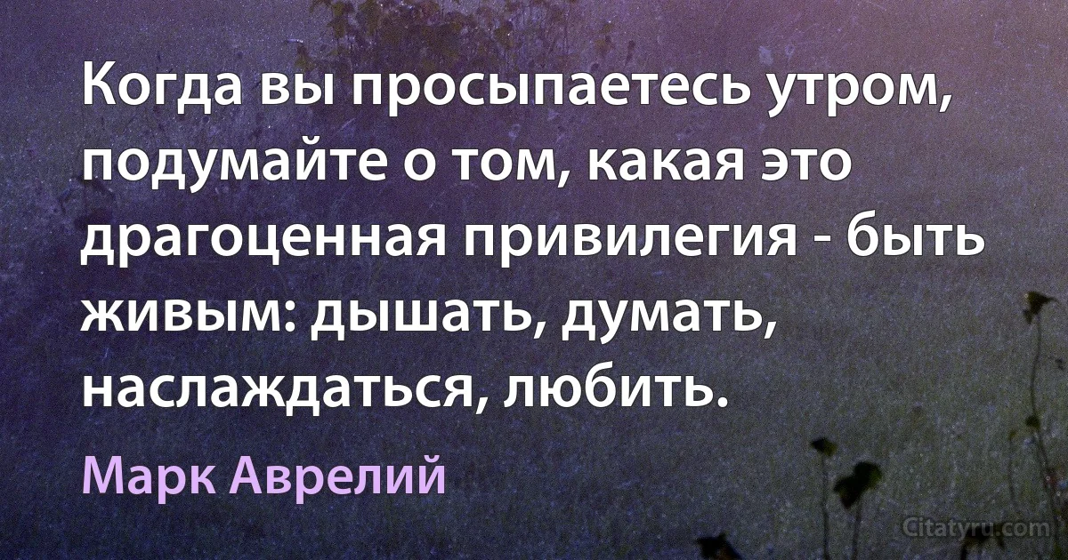 Когда вы просыпаетесь утром, подумайте о том, какая это драгоценная привилегия - быть живым: дышать, думать, наслаждаться, любить. (Марк Аврелий)