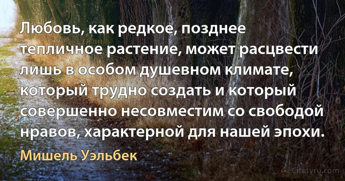 Любовь, как редкое, позднее тепличное растение, может расцвести лишь в особом душевном климате, который трудно создать и который совершенно несовместим со свободой нравов, характерной для нашей эпохи. (Мишель Уэльбек)