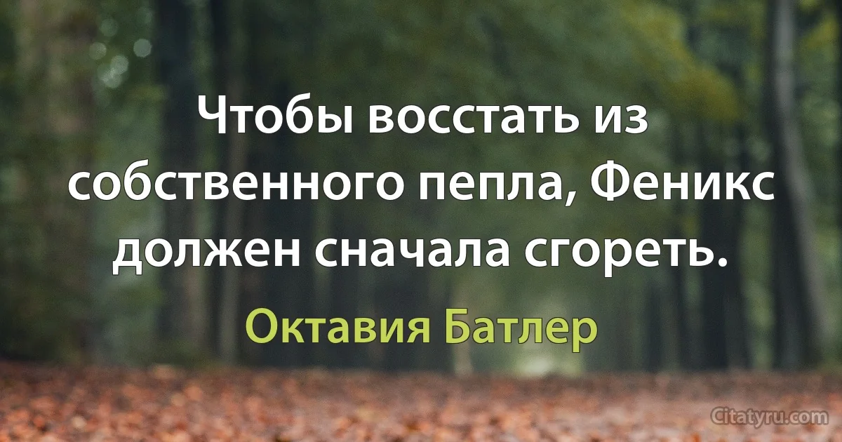 Чтобы восстать из собственного пепла, Феникс должен сначала сгореть. (Октавия Батлер)