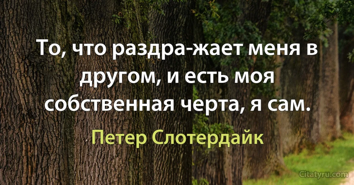 То, что раздра­жает меня в другом, и есть моя собственная черта, я сам. (Петер Слотердайк)