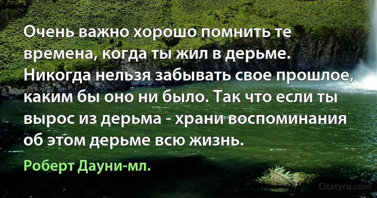 Очень важно хорошо помнить те времена, когда ты жил в дерьме. Никогда нельзя забывать свое прошлое, каким бы оно ни было. Так что если ты вырос из дерьма - храни воспоминания об этом дерьме всю жизнь. (Роберт Дауни-мл.)