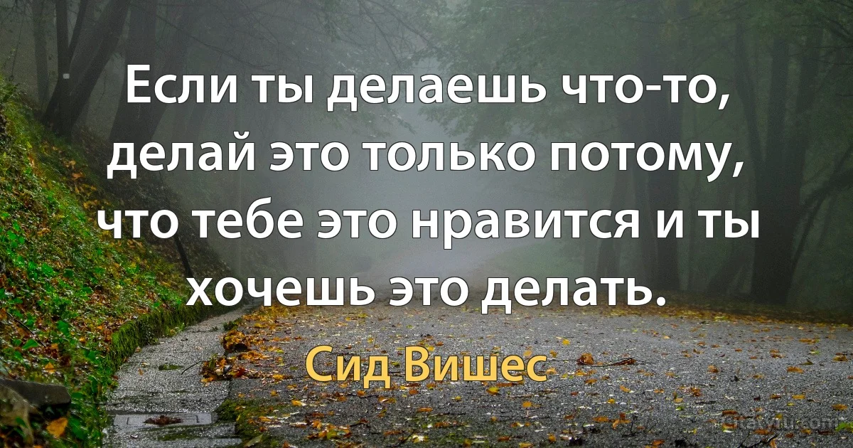 Если ты делаешь что-то, делай это только потому, что тебе это нравится и ты хочешь это делать. (Сид Вишес)