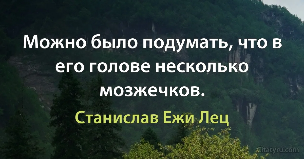 Можно было подумать, что в его голове несколько мозжечков. (Станислав Ежи Лец)