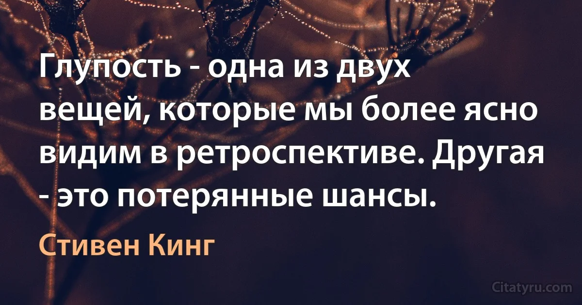 Глупость - одна из двух вещей, которые мы более ясно видим в ретроспективе. Другая - это потерянные шансы. (Стивен Кинг)