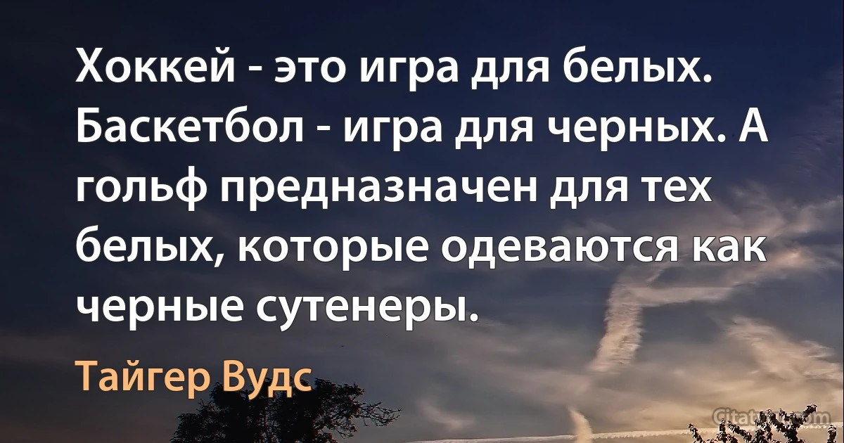 Хоккей - это игра для белых. Баскетбол - игра для черных. А гольф предназначен для тех белых, которые одеваются как черные сутенеры. (Тайгер Вудс)