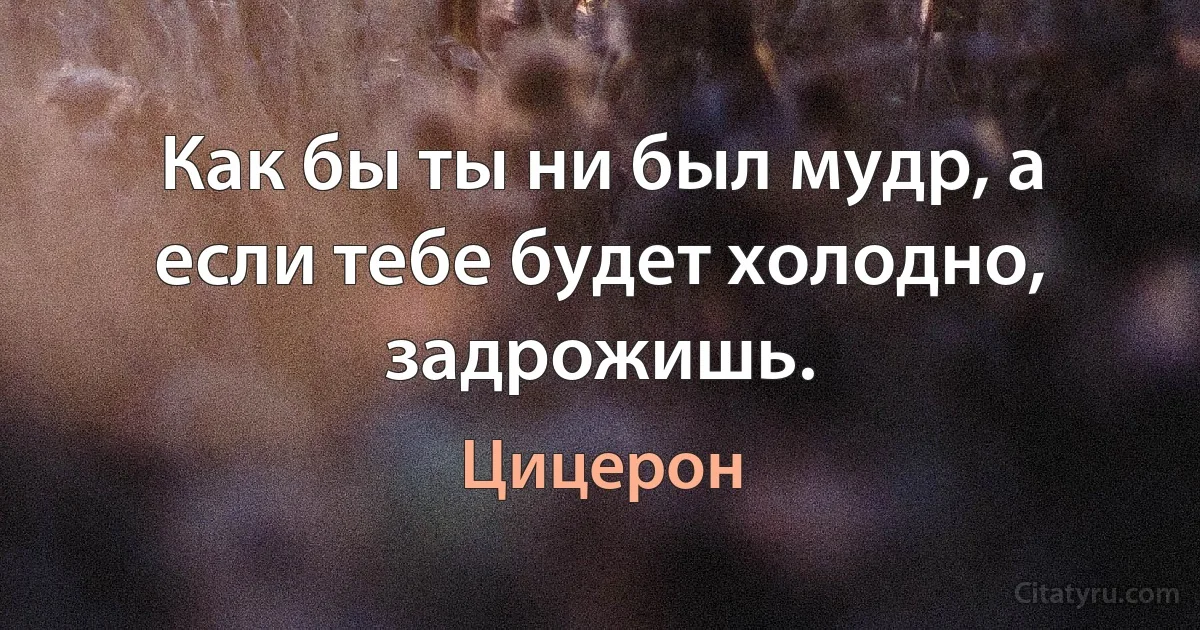 Как бы ты ни был мудр, а если тебе будет холодно, задрожишь. (Цицерон)