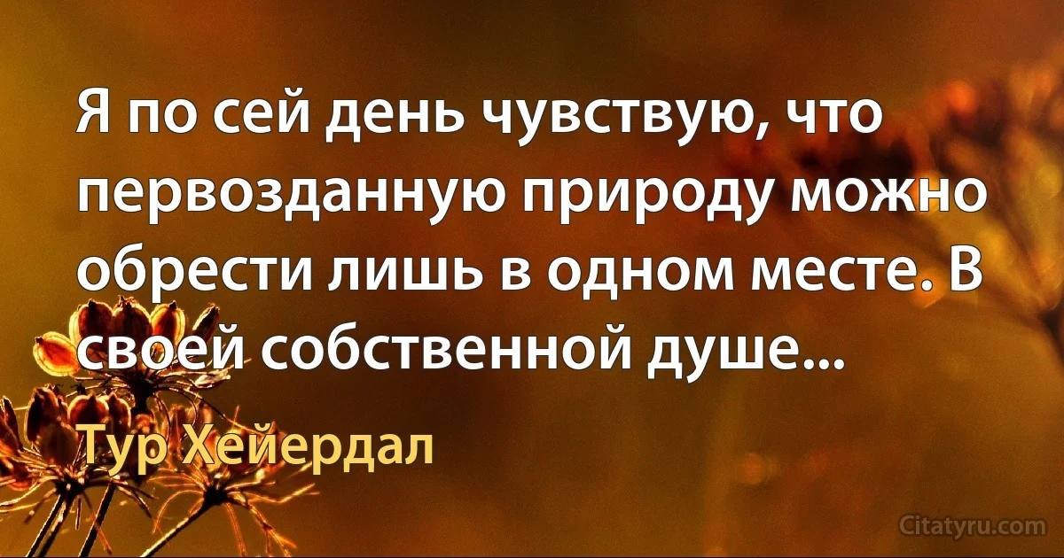 Я по сей день чувствую, что первозданную природу можно обрести лишь в одном месте. В своей собственной душе... (Тур Хейердал)