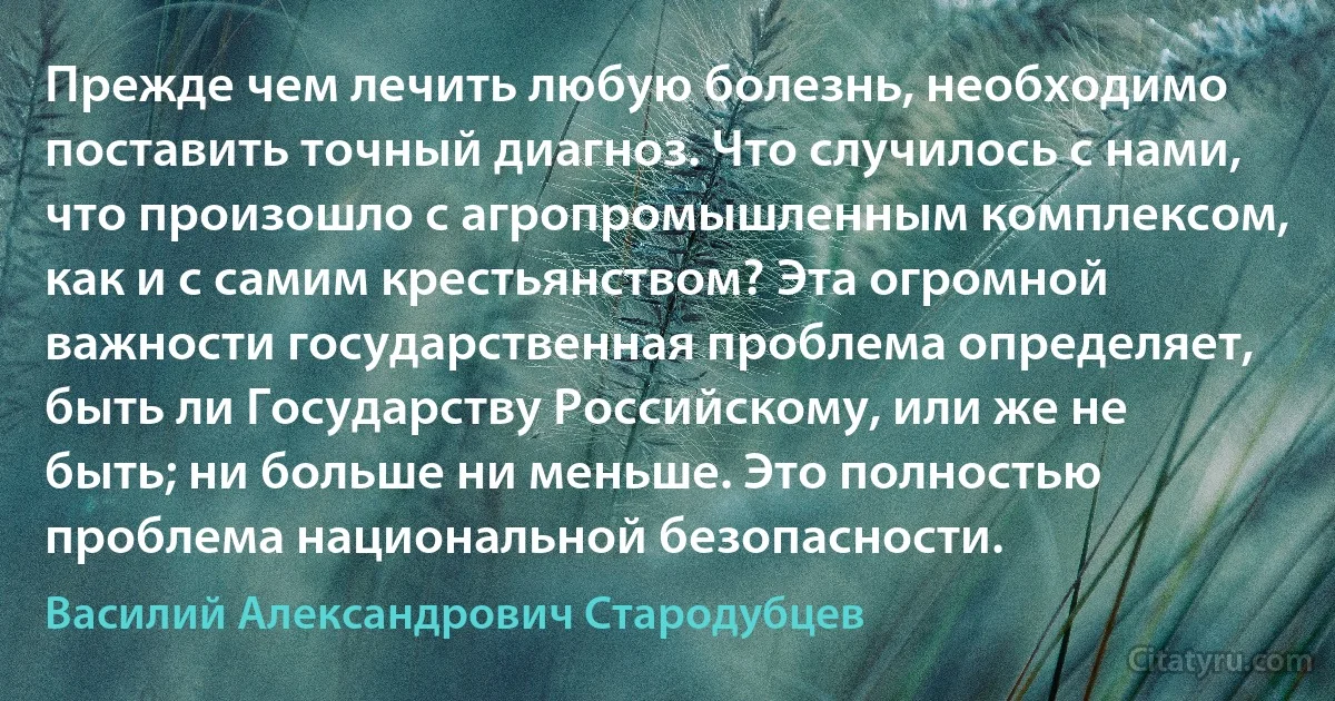 Прежде чем лечить любую болезнь, необходимо поставить точный диагноз. Что случилось с нами, что произошло с агропромышленным комплексом, как и с самим крестьянством? Эта огромной важности государственная проблема определяет, быть ли Государству Российскому, или же не быть; ни больше ни меньше. Это полностью проблема национальной безопасности. (Василий Александрович Стародубцев)