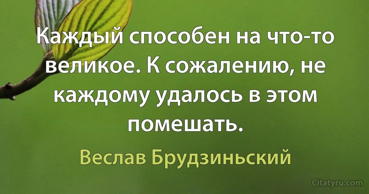 Каждый способен на что-то великое. К сожалению, не каждому удалось в этом помешать. (Веслав Брудзиньский)