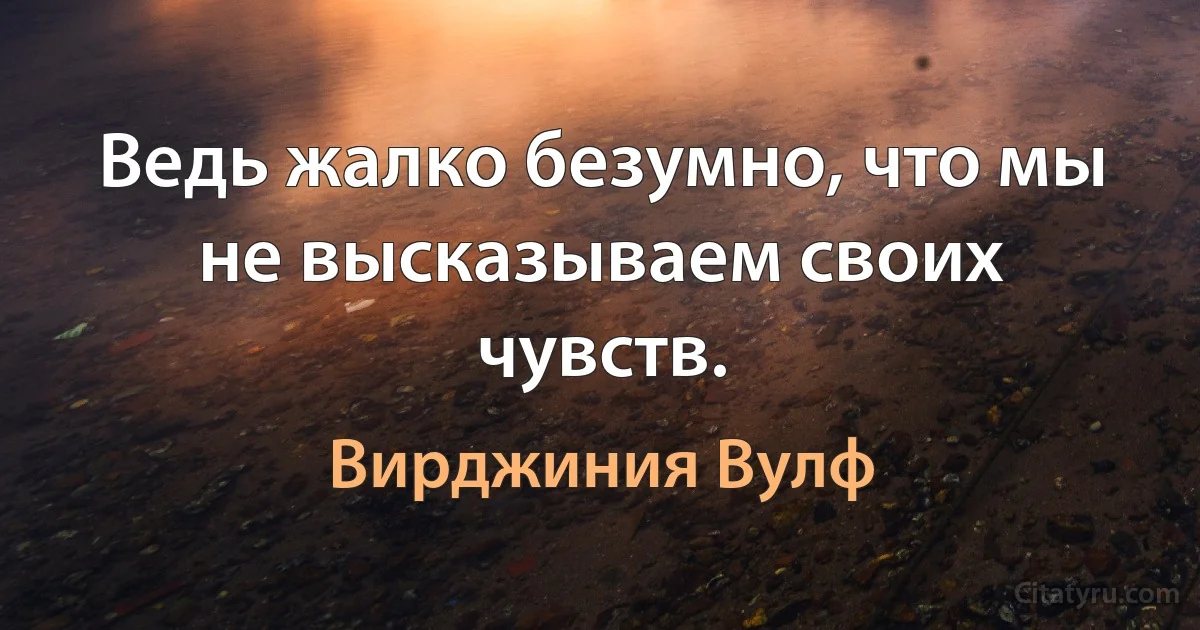 Ведь жалко безумно, что мы не высказываем своих чувств. (Вирджиния Вулф)