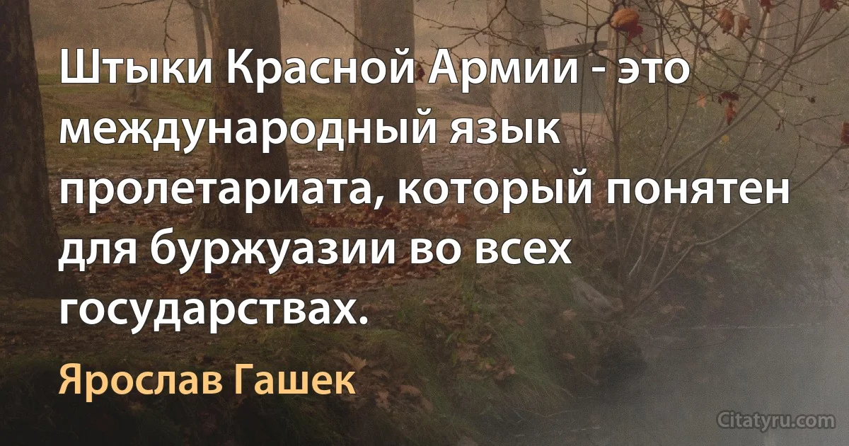 Штыки Красной Армии - это международный язык пролетариата, который понятен для буржуазии во всех государствах. (Ярослав Гашек)