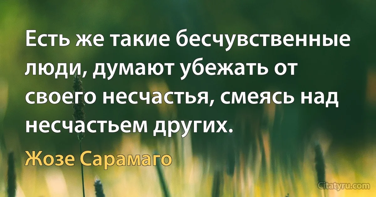 Есть же такие бесчувственные люди, думают убежать от своего несчастья, смеясь над несчастьем других. (Жозе Сарамаго)