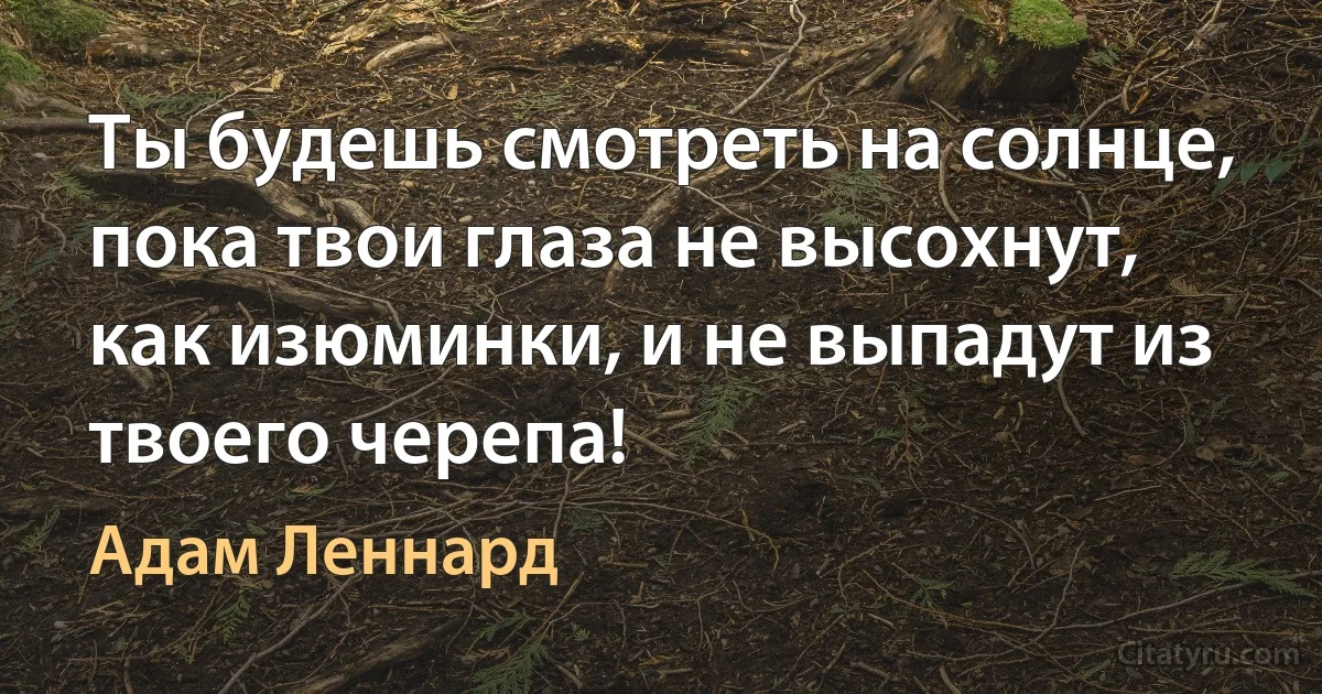 Ты будешь смотреть на солнце, пока твои глаза не высохнут, как изюминки, и не выпадут из твоего черепа! (Адам Леннард)