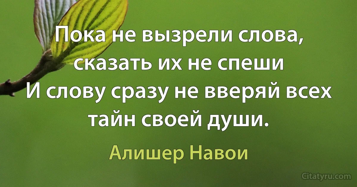 Пока не вызрели слова, сказать их не спеши
И слову сразу не вверяй всех тайн своей души. (Алишер Навои)