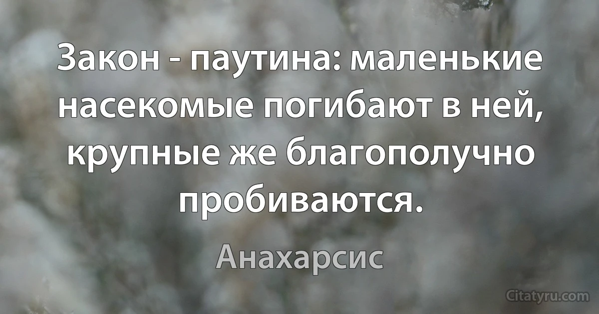 Закон - паутина: маленькие насекомые погибают в ней, крупные же благополучно пробиваются. (Анахарсис)