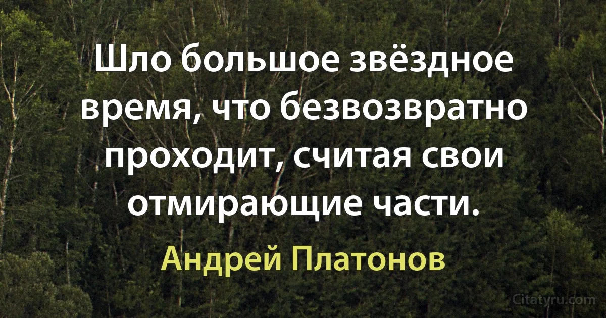 Шло большое звёздное время, что безвозвратно проходит, считая свои отмирающие части. (Андрей Платонов)