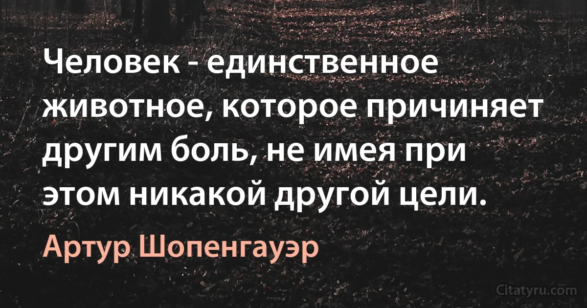 Человек - единственное животное, которое причиняет другим боль, не имея при этом никакой другой цели. (Артур Шопенгауэр)