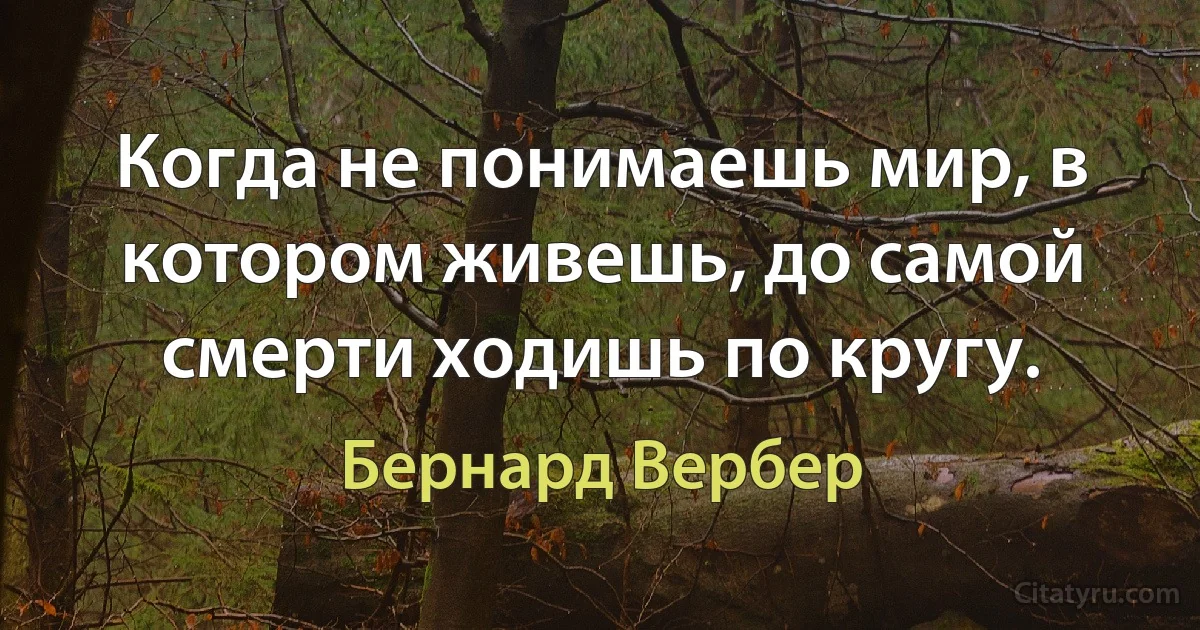 Когда не понимаешь мир, в котором живешь, до самой смерти ходишь по кругу. (Бернард Вербер)