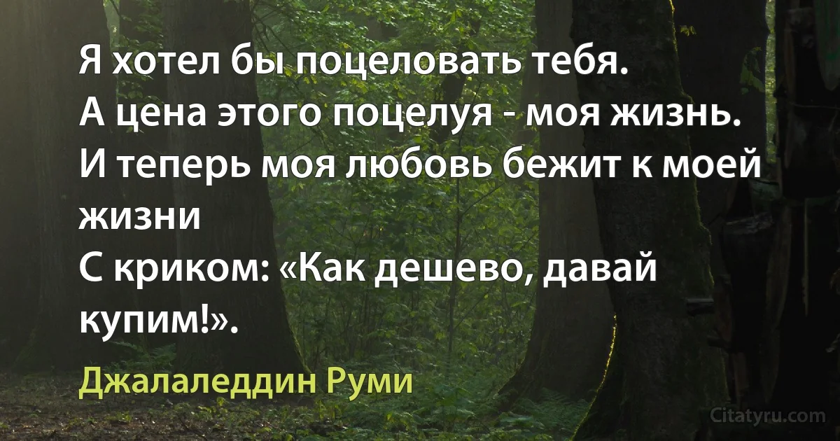 Я хотел бы поцеловать тебя.
А цена этого поцелуя - моя жизнь.
И теперь моя любовь бежит к моей жизни
С криком: «Как дешево, давай купим!». (Джалаледдин Руми)