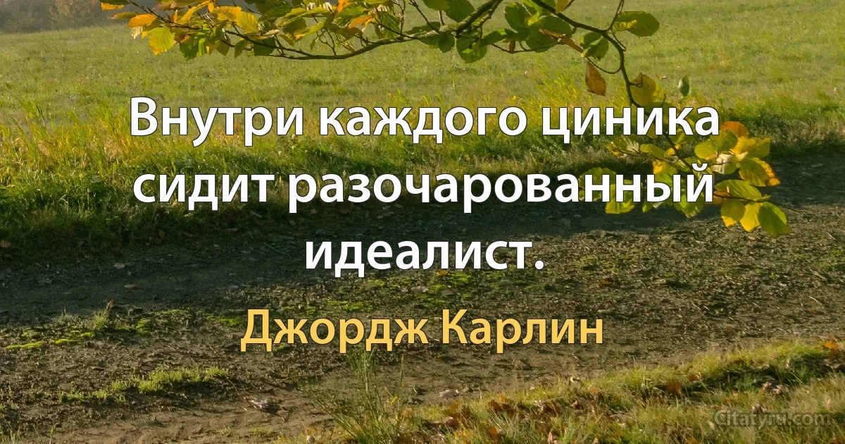 Внутри каждого циника сидит разочарованный идеалист. (Джордж Карлин)