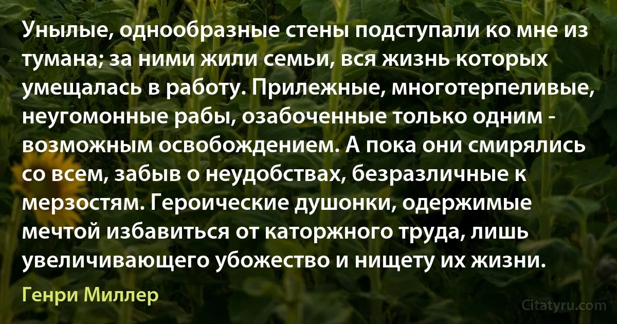 Унылые, однообразные стены подступали ко мне из тумана; за ними жили семьи, вся жизнь которых умещалась в работу. Прилежные, многотерпеливые, неугомонные рабы, озабоченные только одним - возможным освобождением. А пока они смирялись со всем, забыв о неудобствах, безразличные к мерзостям. Героические душонки, одержимые мечтой избавиться от каторжного труда, лишь увеличивающего убожество и нищету их жизни. (Генри Миллер)