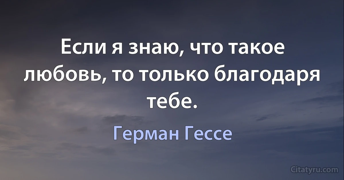 Если я знаю, что такое любовь, то только благодаря тебе. (Герман Гессе)