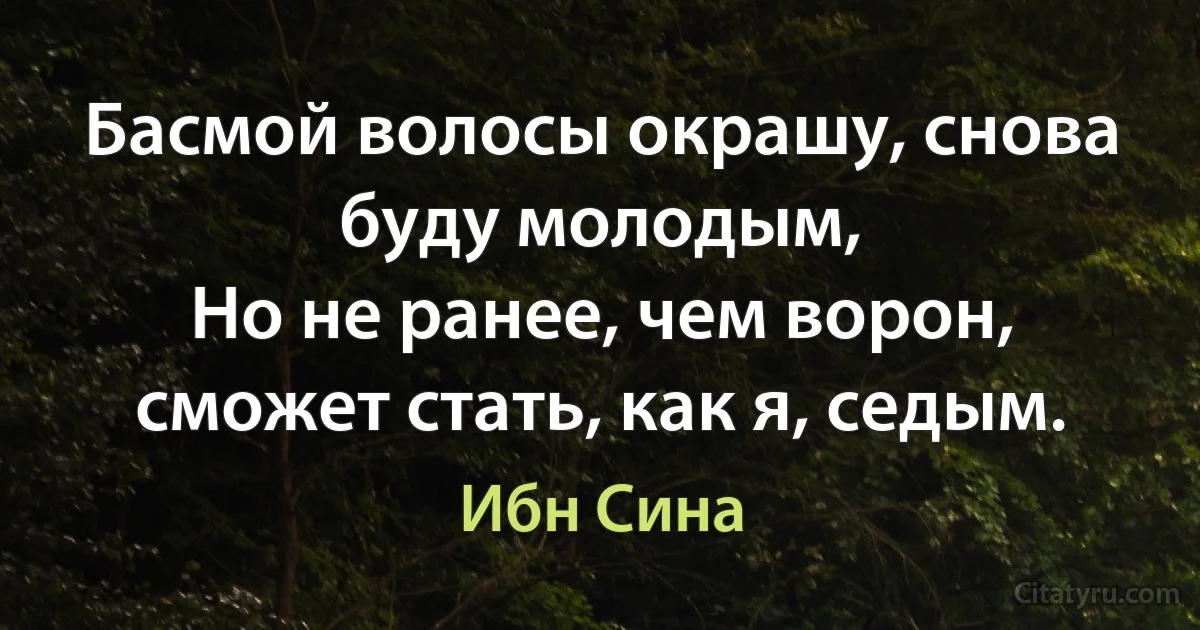 Басмой волосы окрашу, снова буду молодым,
Но не ранее, чем ворон, сможет стать, как я, седым. (Ибн Сина)