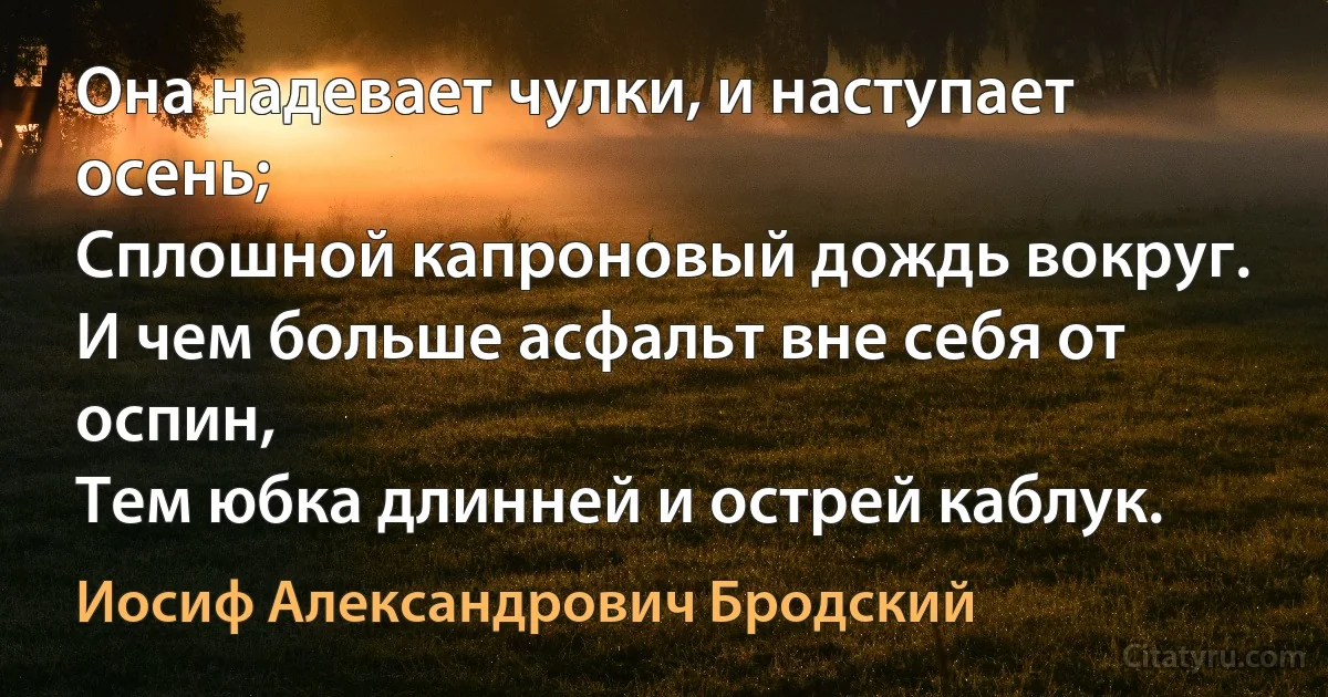 Она надевает чулки, и наступает осень;
Сплошной капроновый дождь вокруг.
И чем больше асфальт вне себя от оспин,
Тем юбка длинней и острей каблук. (Иосиф Александрович Бродский)