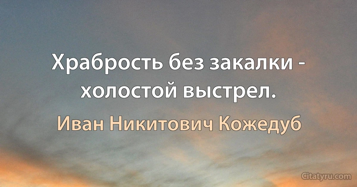 Храбрость без закалки - холостой выстрел. (Иван Никитович Кожедуб)