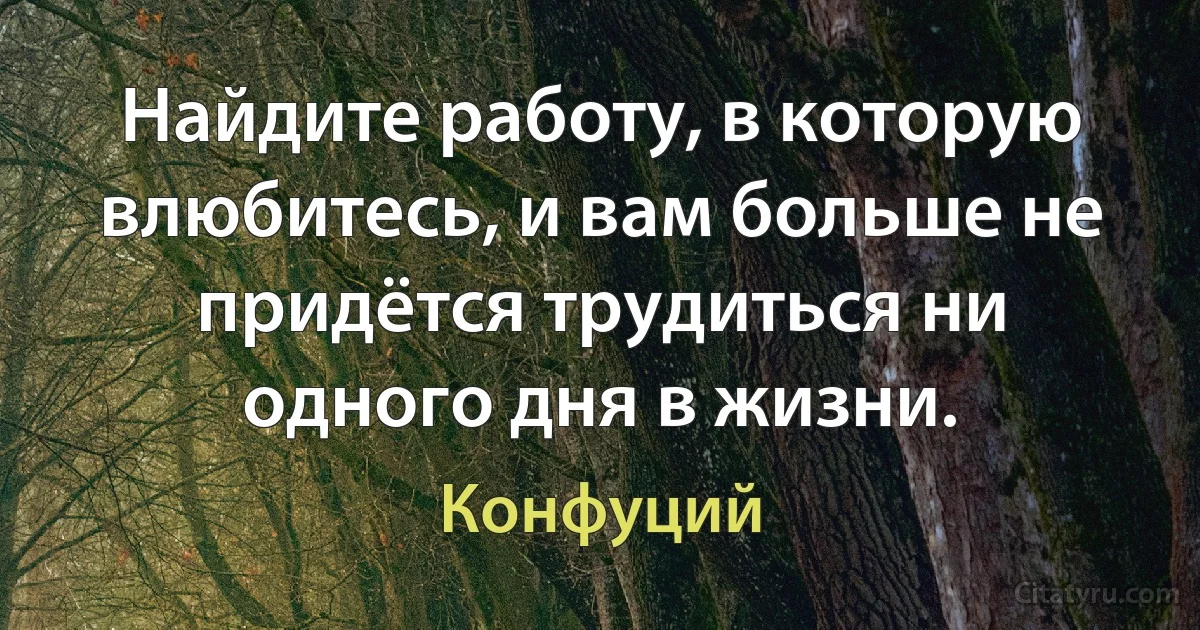 Найдите работу, в которую влюбитесь, и вам больше не придётся трудиться ни одного дня в жизни. (Конфуций)