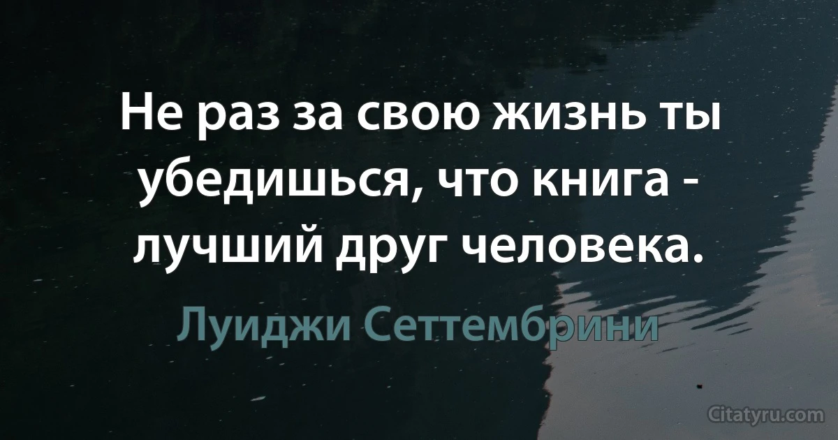 Не раз за свою жизнь ты убедишься, что книга - лучший друг человека. (Луиджи Сеттембрини)