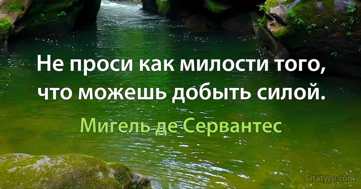 Не проси как милости того, что можешь добыть силой. (Мигель де Сервантес)