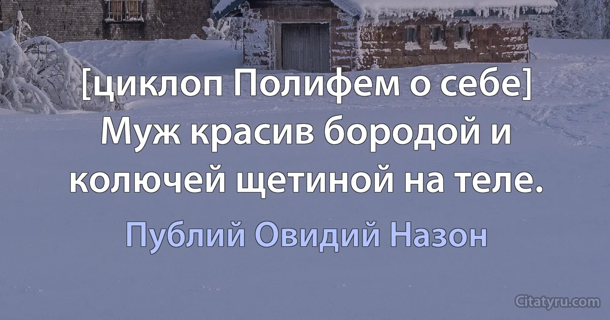 [циклоп Полифем о себе] Муж красив бородой и колючей щетиной на теле. (Публий Овидий Назон)