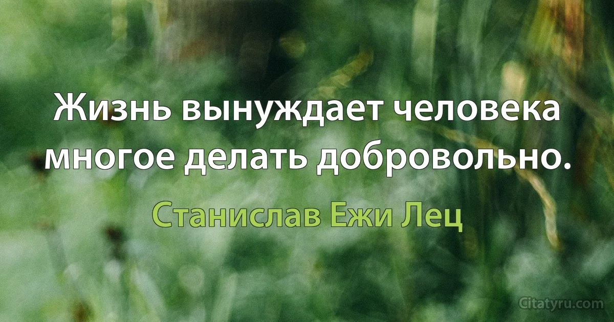 Жизнь вынуждает человека многое делать добровольно. (Станислав Ежи Лец)