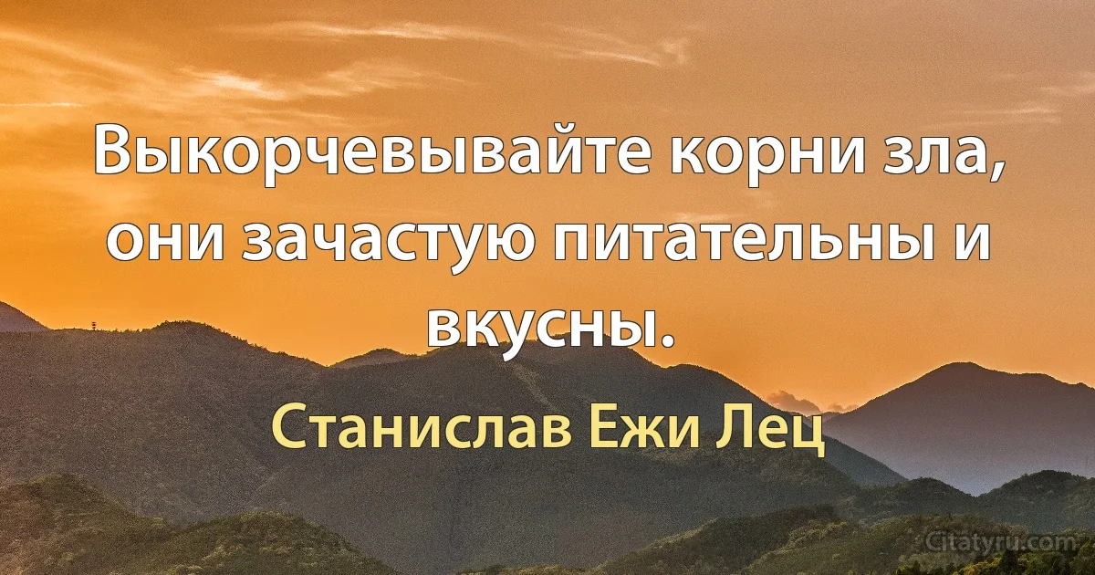 Выкорчевывайте корни зла, они зачастую питательны и вкусны. (Станислав Ежи Лец)