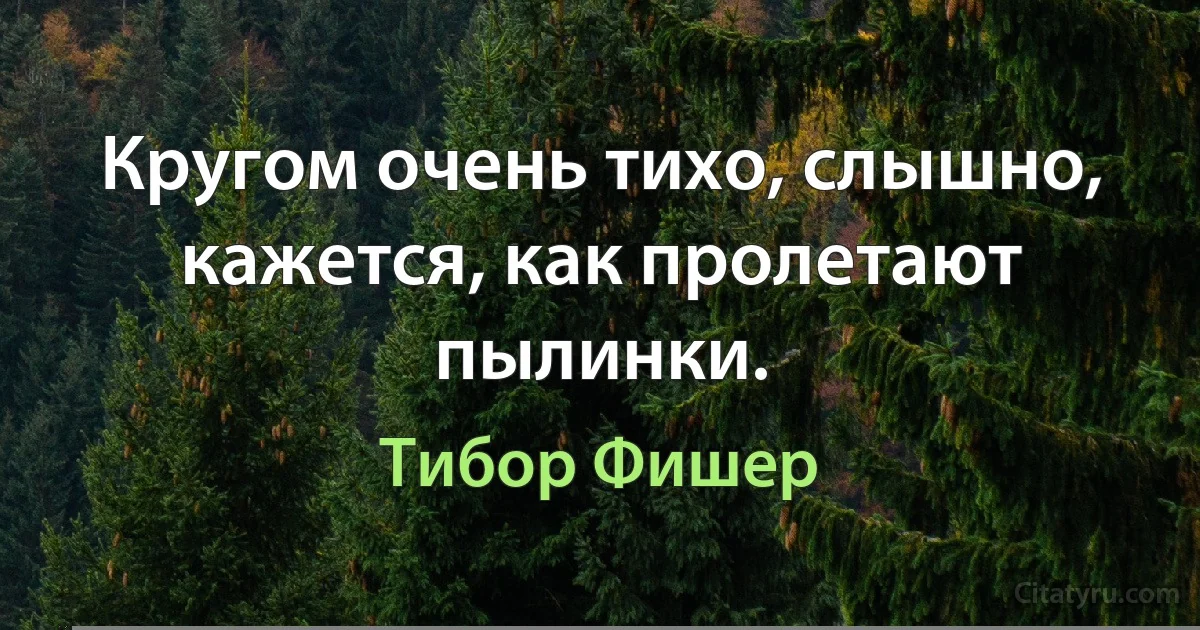 Кругом очень тихо, слышно, кажется, как пролетают пылинки. (Тибор Фишер)